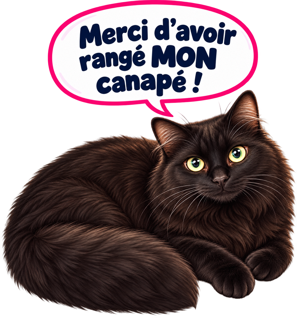 Vegas Remercie Pour Son Canape
